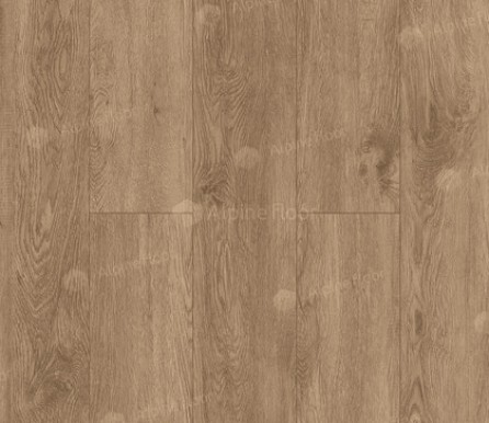 SPC ламинат Alpine Floor Grand Sequoia ГЕВУИНА ECO 11-7